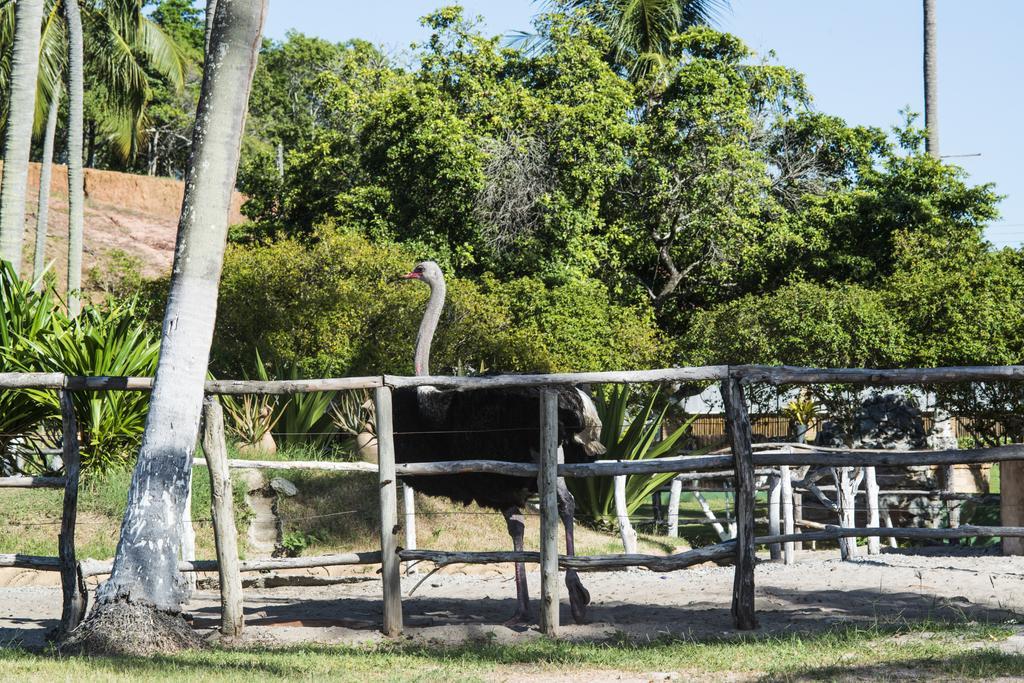 פריפואיירה Fazenda Fiore Resort מראה חיצוני תמונה